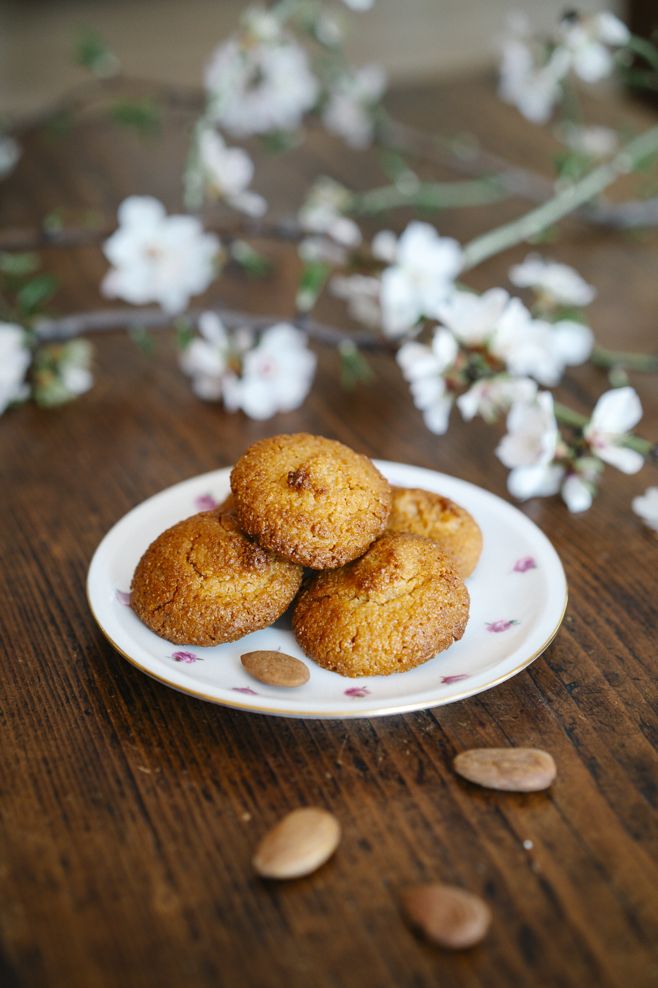 mes-douceurs-de-provence-biscuits-confiseries-artisanales-a-bandol